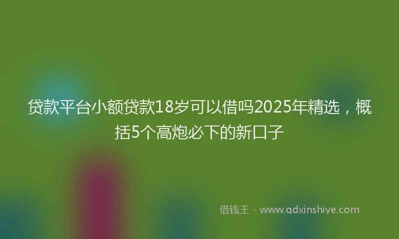 贷款平台小额贷款18岁可以借吗2025年精选，概括5个高炮必下的新口子