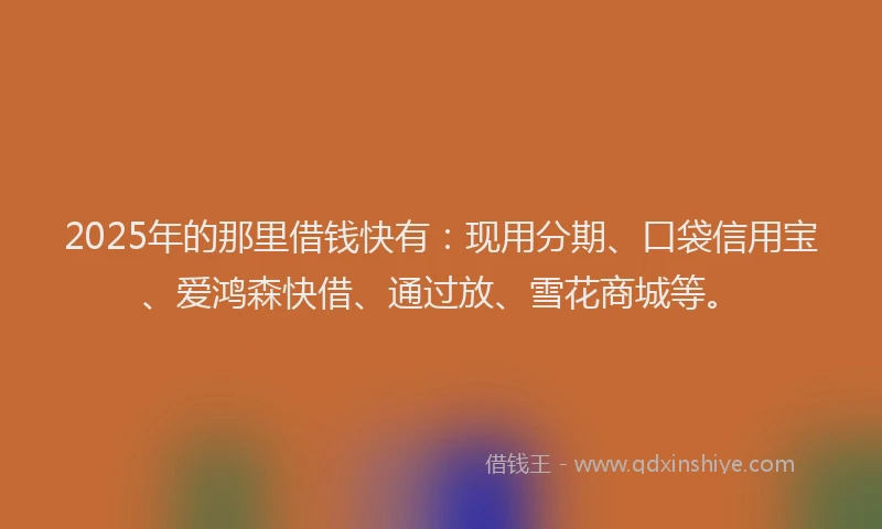 2025年的那里借钱快有：现用分期、口袋信用宝、爱鸿森快借、通过放、雪花商城等。