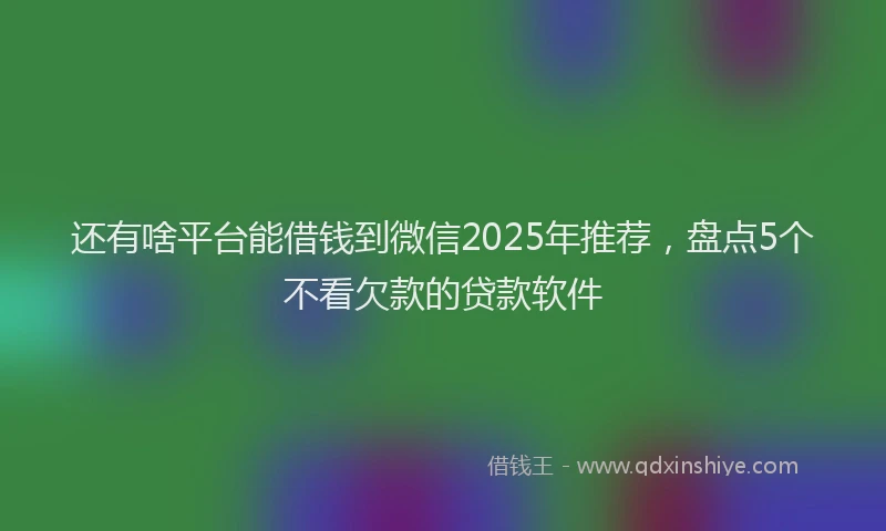 还有啥平台能借钱到微信2025年推荐，盘点5个不看欠款的贷款软件