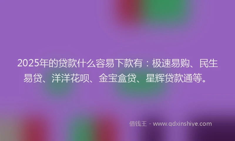2025年的贷款什么容易下款有：极速易购、民生易贷、洋洋花呗、金宝盒贷、星辉贷款通等。