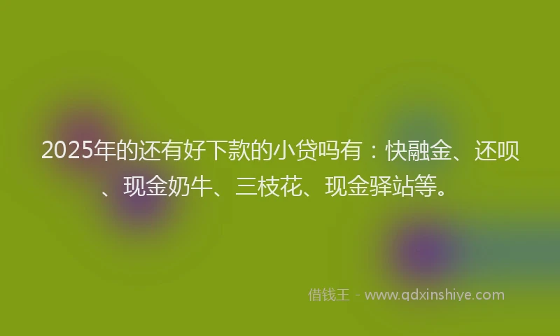 2025年的还有好下款的小贷吗有：快融金、还呗、现金奶牛、三枝花、现金驿站等。