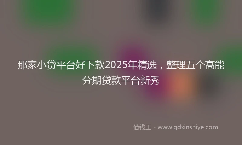 那家小贷平台好下款2025年精选，整理五个高能分期贷款平台新秀