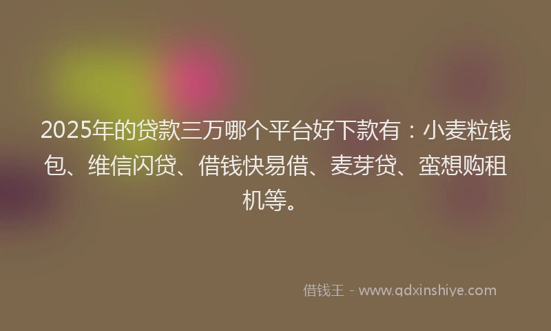 2025年的贷款三万哪个平台好下款有：小麦粒钱包、维信闪贷、借钱快易借、麦芽贷、蛮想购租机等。