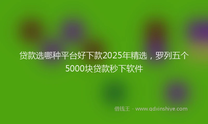 贷款选哪种平台好下款2025年精选，罗列五个5000块贷款秒下软件