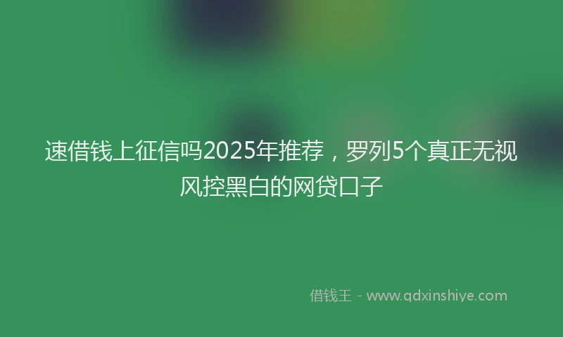 速借钱上征信吗2025年推荐，罗列5个真正无视风控黑白的网贷口子