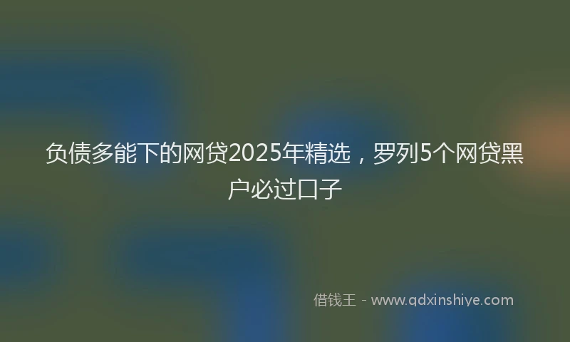 负债多能下的网贷2025年精选，罗列5个网贷黑户必过口子