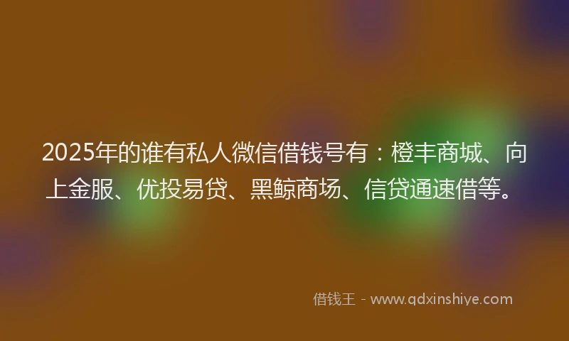 2025年的谁有私人微信借钱号有：橙丰商城、向上金服、优投易贷、黑鲸商场、信贷通速借等。