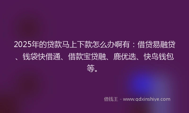 2025年的贷款马上下款怎么办啊有：借贷易融贷、钱袋快借通、借款宝贷融、鹿优选、快鸟钱包等。