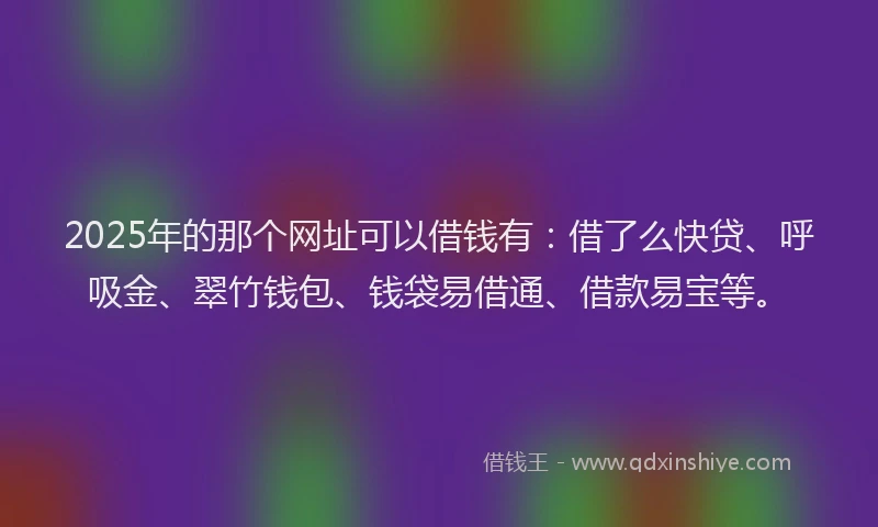 2025年的那个网址可以借钱有：借了么快贷、呼吸金、翠竹钱包、钱袋易借通、借款易宝等。