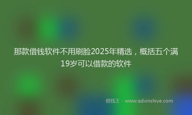 那款借钱软件不用刷脸2025年精选，概括五个满19岁可以借款的软件