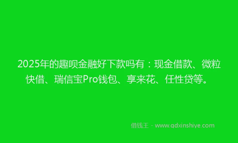 2025年的趣呗金融好下款吗有：现金借款、微粒快借、瑞信宝Pro钱包、享来花、任性贷等。