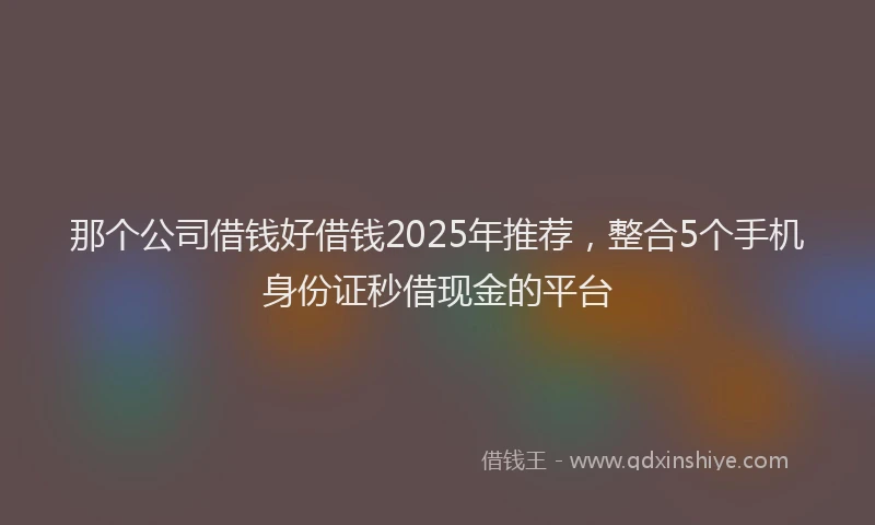 那个公司借钱好借钱2025年推荐，整合5个手机身份证秒借现金的平台