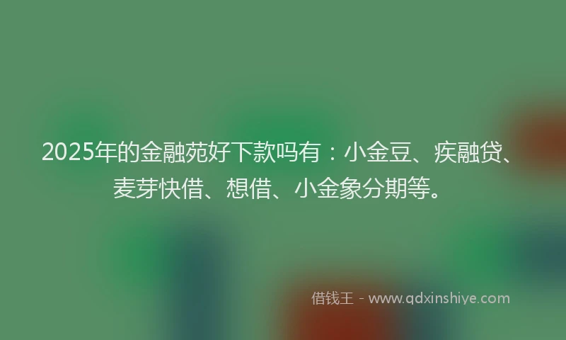 2025年的金融苑好下款吗有：小金豆、疾融贷、麦芽快借、想借、小金象分期等。