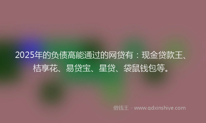 2025年的负债高能通过的网贷有：现金贷款王、桔享花、易贷宝、星贷、袋鼠钱包等。