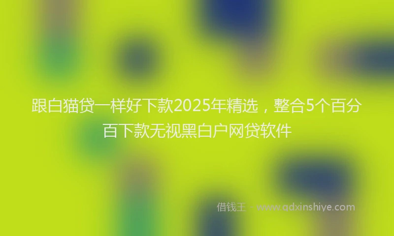 跟白猫贷一样好下款2025年精选，整合5个百分百下款无视黑白户网贷软件