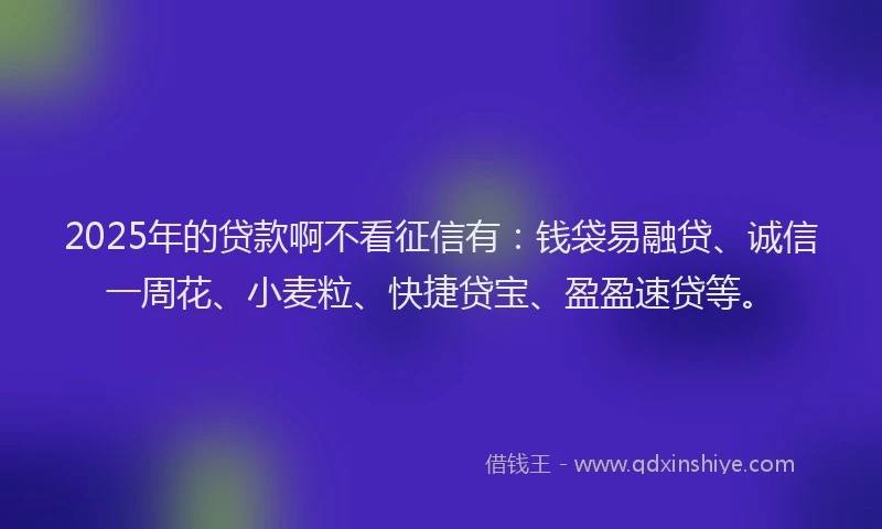 2025年的贷款啊不看征信有：钱袋易融贷、诚信一周花、小麦粒、快捷贷宝、盈盈速贷等。
