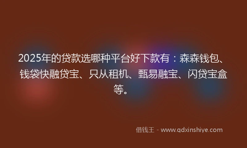 2025年的贷款选哪种平台好下款有：森森钱包、钱袋快融贷宝、只从租机、甄易融宝、闪贷宝盒等。