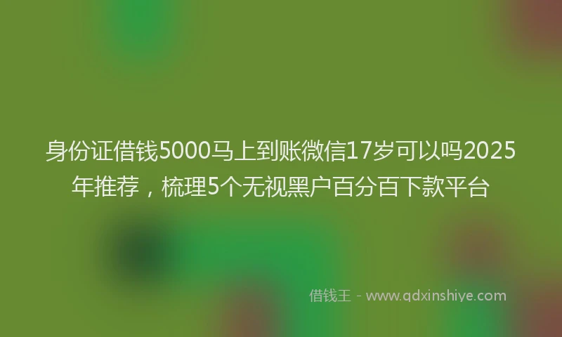 身份证借钱5000马上到账微信17岁可以吗2025年推荐，梳理5个无视黑户百分百下款平台