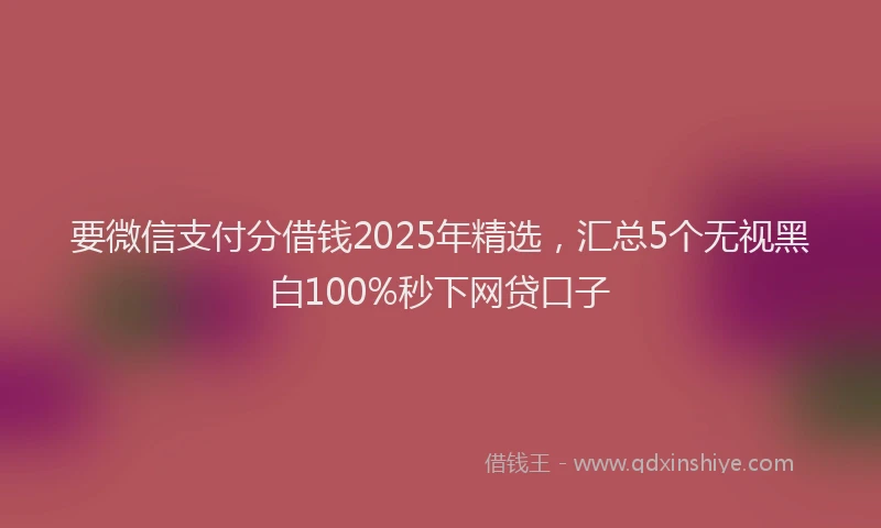 要微信支付分借钱2025年精选，汇总5个无视黑白100%秒下网贷口子