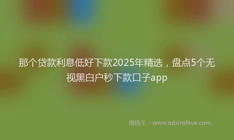 那个贷款利息低好下款2025年精选，盘点5个无视黑白户秒下款口子app