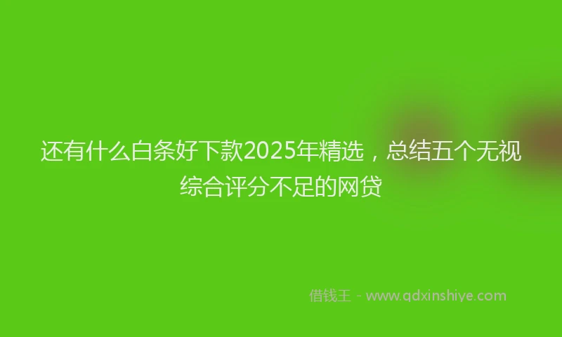 还有什么白条好下款2025年精选，总结五个无视综合评分不足的网贷