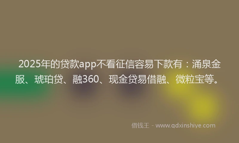 2025年的贷款app不看征信容易下款有：涌泉金服、琥珀贷、融360、现金贷易借融、微粒宝等。