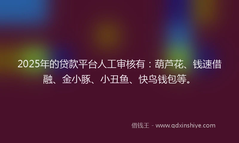 2025年的贷款平台人工审核有：葫芦花、钱速借融、金小豚、小丑鱼、快鸟钱包等。