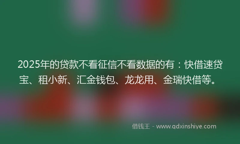 2025年的贷款不看征信不看数据的有：快借速贷宝、租小新、汇金钱包、龙龙用、金瑞快借等。