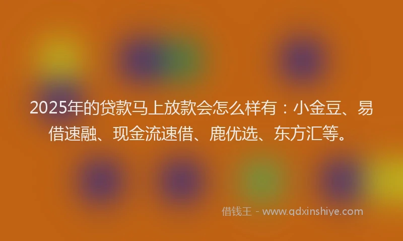 2025年的贷款马上放款会怎么样有：小金豆、易借速融、现金流速借、鹿优选、东方汇等。