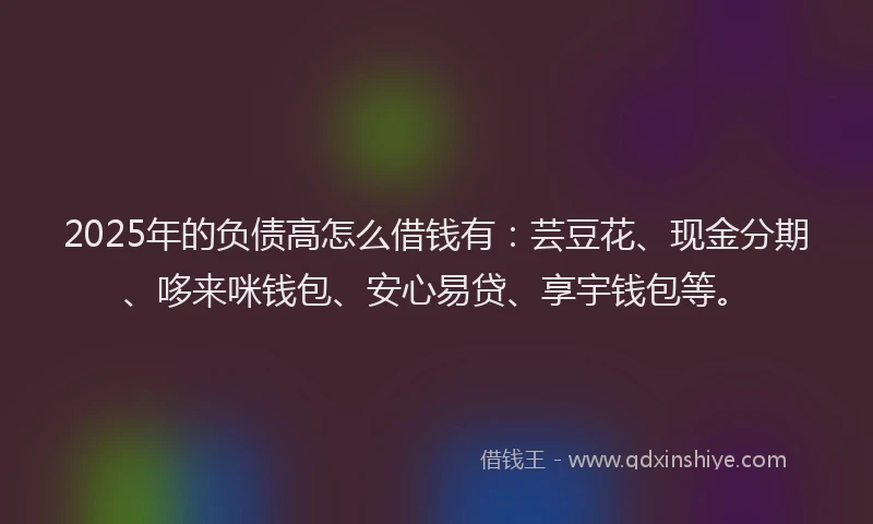 2025年的负债高怎么借钱有：芸豆花、现金分期、哆来咪钱包、安心易贷、享宇钱包等。