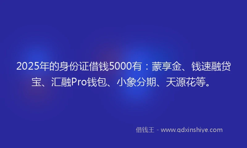 2025年的身份证借钱5000有：蒙享金、钱速融贷宝、汇融Pro钱包、小象分期、天源花等。