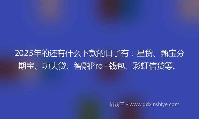 2025年的还有什么下款的口子有：星贷、甄宝分期宝、功夫贷、智融Pro+钱包、彩虹信贷等。