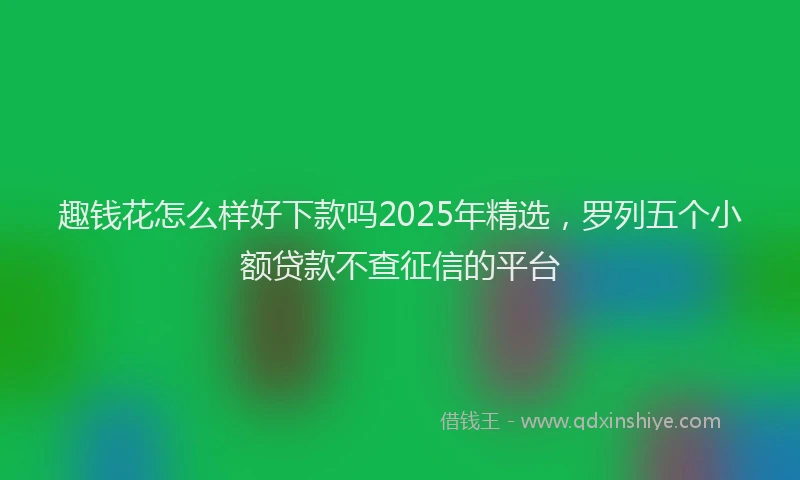 趣钱花怎么样好下款吗2025年精选，罗列五个小额贷款不查征信的平台