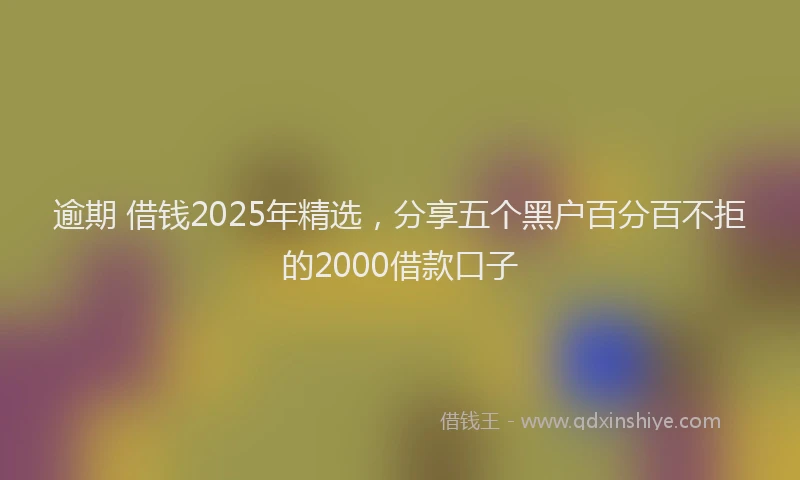逾期 借钱2025年精选，分享五个黑户百分百不拒的2000借款口子