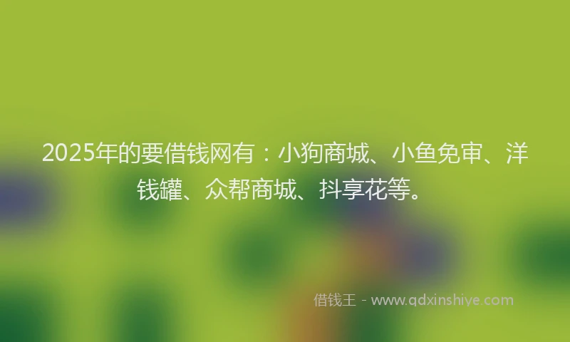 2025年的要借钱网有：小狗商城、小鱼免审、洋钱罐、众帮商城、抖享花等。