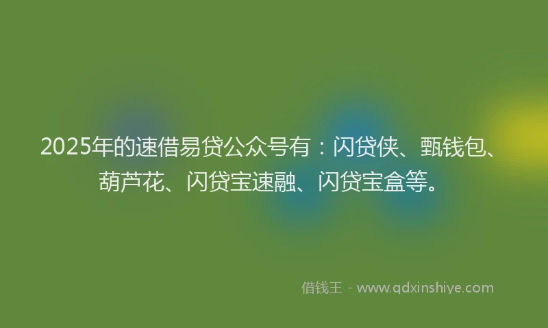 2025年的速借易贷公众号有：闪贷侠、甄钱包、葫芦花、闪贷宝速融、闪贷宝盒等。