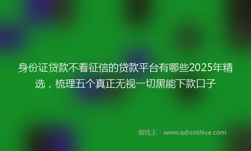 身份证贷款不看征信的贷款平台有哪些2025年精选，梳理五个真正无视一切黑能下款口子