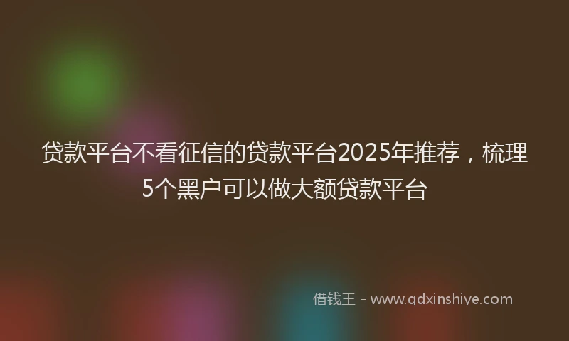 贷款平台不看征信的贷款平台2025年推荐，梳理5个黑户可以做大额贷款平台