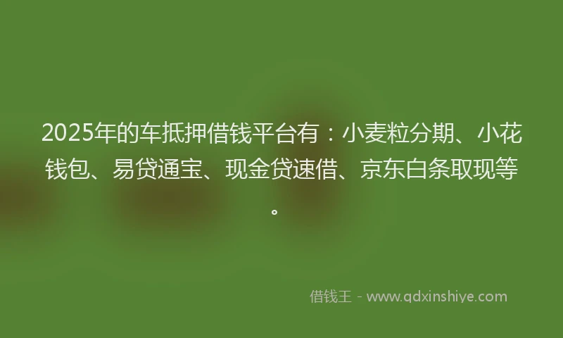 2025年的车抵押借钱平台有：小麦粒分期、小花钱包、易贷通宝、现金贷速借、京东白条取现等。