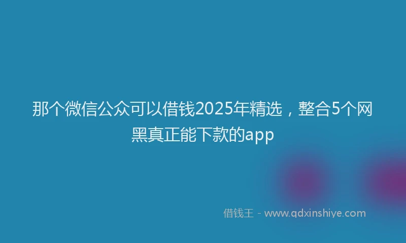 那个微信公众可以借钱2025年精选，整合5个网黑真正能下款的app