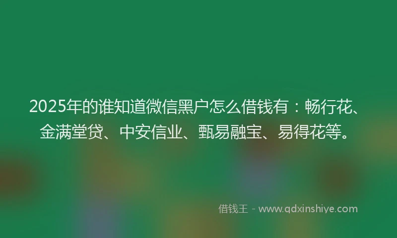 2025年的谁知道微信黑户怎么借钱有：畅行花、金满堂贷、中安信业、甄易融宝、易得花等。