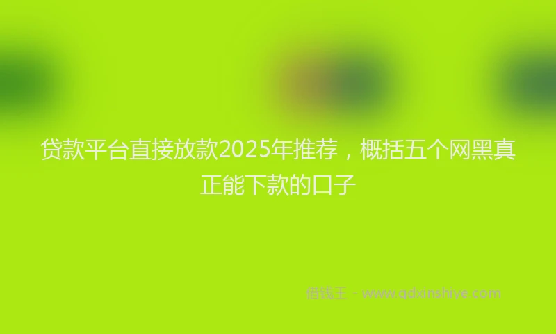 贷款平台直接放款2025年推荐，概括五个网黑真正能下款的口子