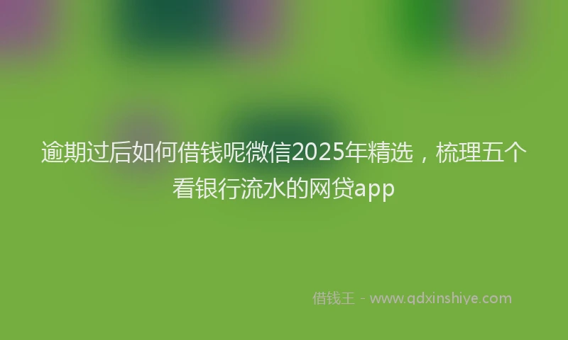 逾期过后如何借钱呢微信2025年精选，梳理五个看银行流水的网贷app