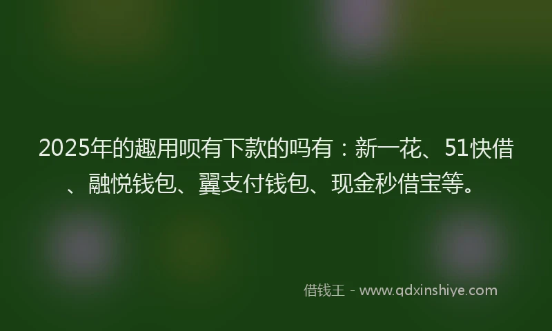 2025年的趣用呗有下款的吗有：新一花、51快借、融悦钱包、翼支付钱包、现金秒借宝等。