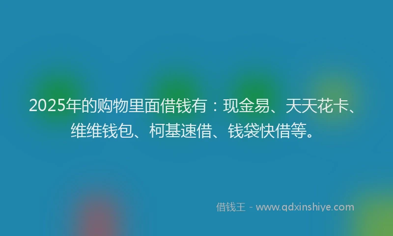 2025年的购物里面借钱有：现金易、天天花卡、维维钱包、柯基速借、钱袋快借等。