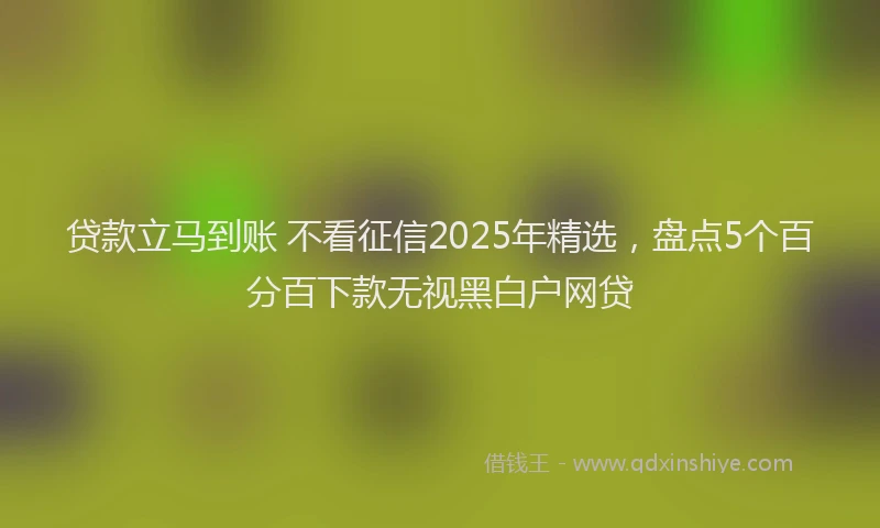 贷款立马到账 不看征信2025年精选，盘点5个百分百下款无视黑白户网贷