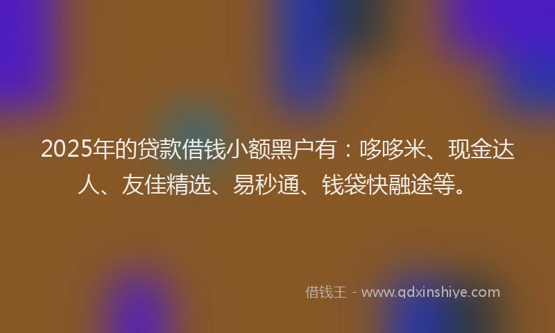 2025年的贷款借钱小额黑户有：哆哆米、现金达人、友佳精选、易秒通、钱袋快融途等。