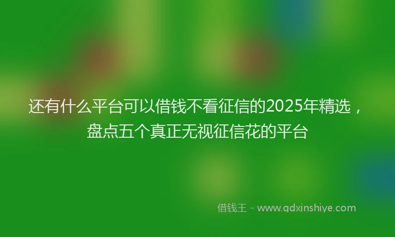 还有什么平台可以借钱不看征信的2025年精选，盘点五个真正无视征信花的平台