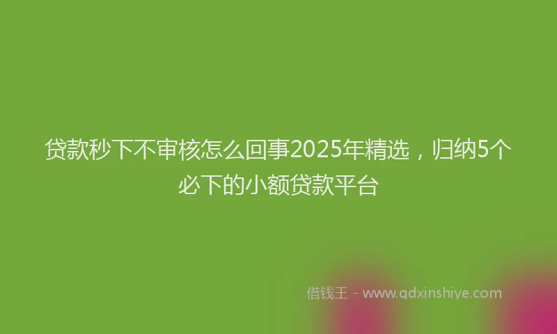 贷款秒下不审核怎么回事2025年精选，归纳5个必下的小额贷款平台