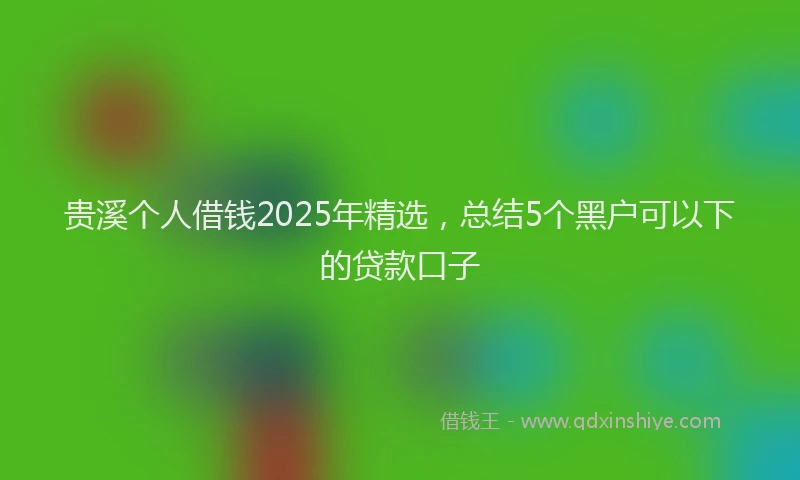 贵溪个人借钱2025年精选，总结5个黑户可以下的贷款口子